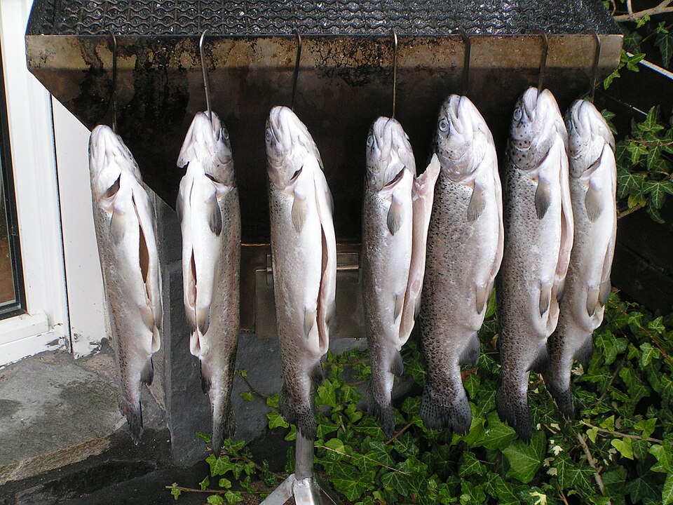 Forellen hängen am Haken und trocknen vor dem Räuchergang